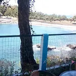 Gorgona