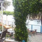 Gorgona