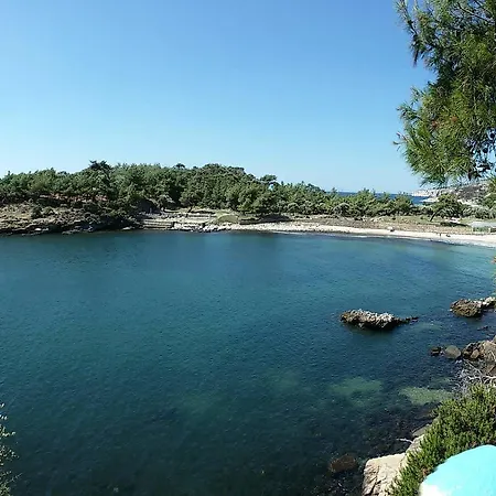 Gorgona Affittacamere Alikí