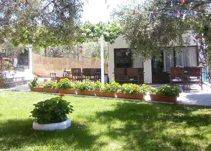 Gorgona ゲストハウス