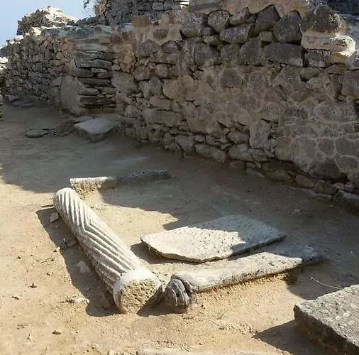 Gorgona ゲストハウス